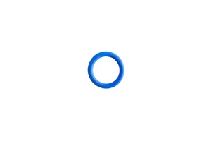 O Ring 4