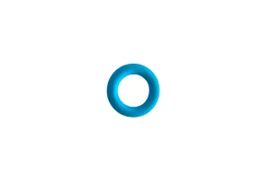 O Ring 5